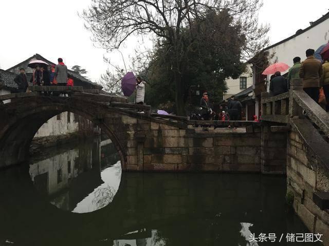 细胞分裂5